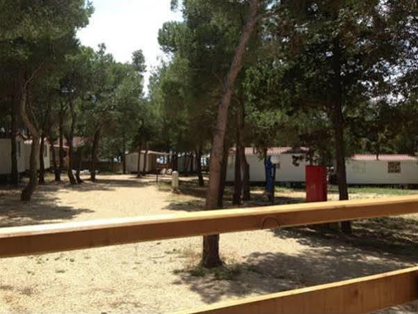 Camp Porat Hotel Povljana Exterior photo